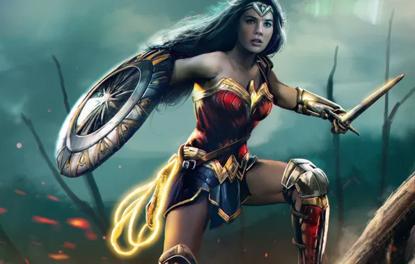 Wallpaper Movie Sword Art Shield Lasso Goddess Wonder Woman Gal