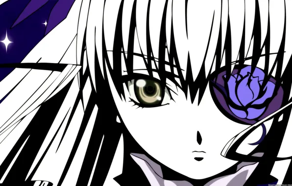 Wallpaper Face Rose The Demon Headband Rozen Maiden Barasuishou