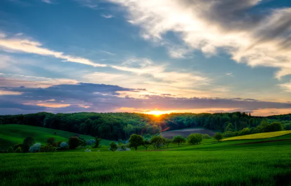 Wallpaper Grass The Sun Trees Sunset River The Evening Twilight