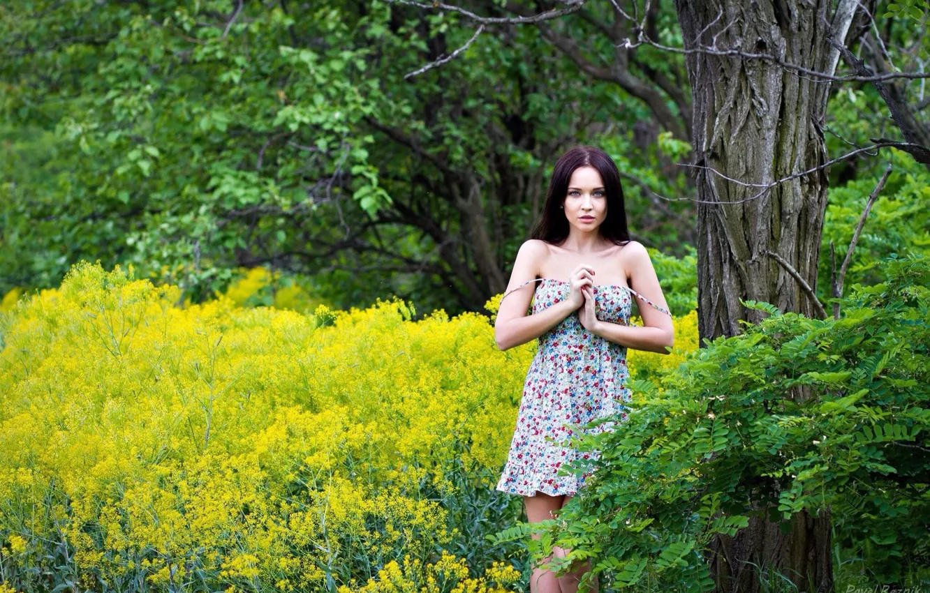 Wallpaper Look Trees Flowers Pose Model Portrait Makeup Dress