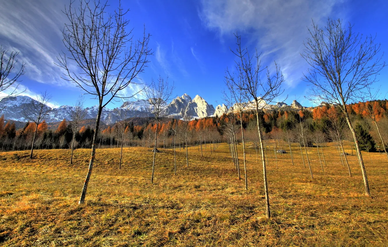 Wallpaper Autumn The Sky Grass Trees Mountains Nature Garden