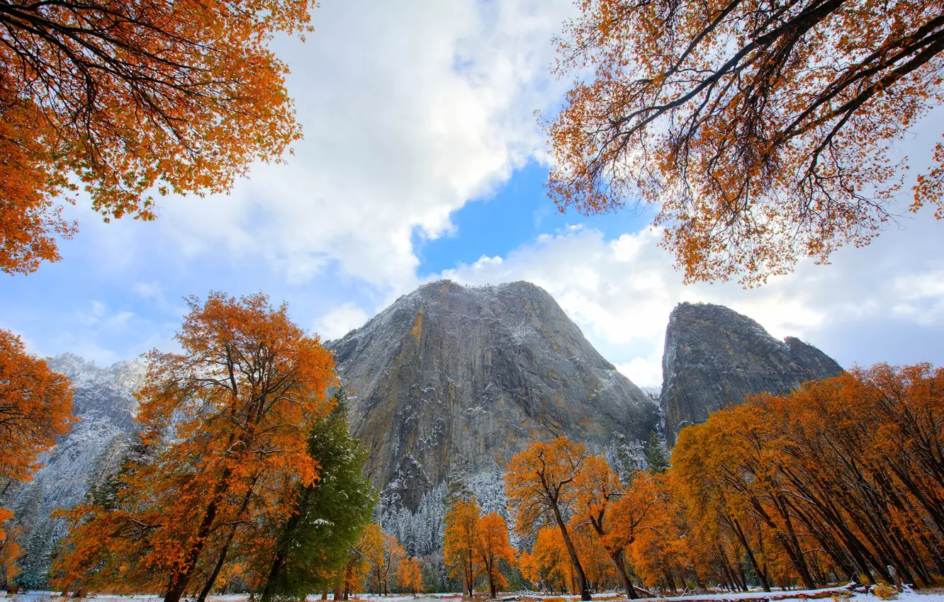 Wallpaper Autumn The Sky Leaves Clouds Snow Trees Mountains CA