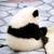Users Pandakun