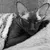Users ellena_6