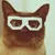 Users Akira_shaddix