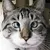 Users shrodinger-cat