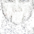 Users Skillik