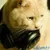 Users Akcent7