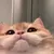 Users Nikkely