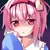 Users Skylice