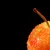 Users Crabapple