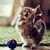 Users zombiekitty89
