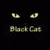 Users Blackcat72