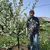 Users leonid-chetin