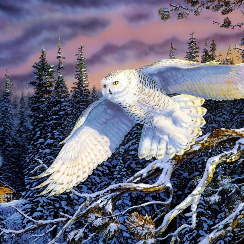 winter, forest, nature, <b>owl</b>, landscapes, ate, hut, painting.