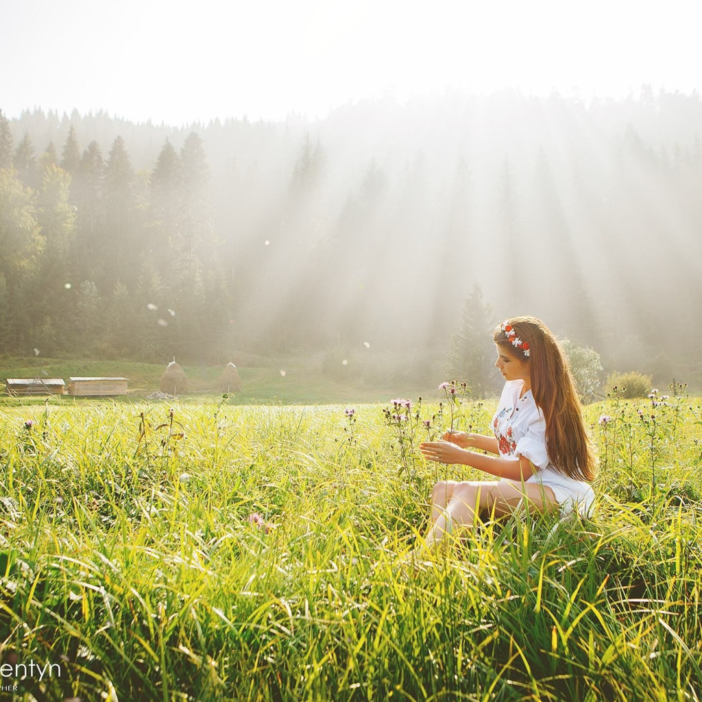 Download wallpaper greens, field, forest, grass, girl, trees, mood, dress, secti