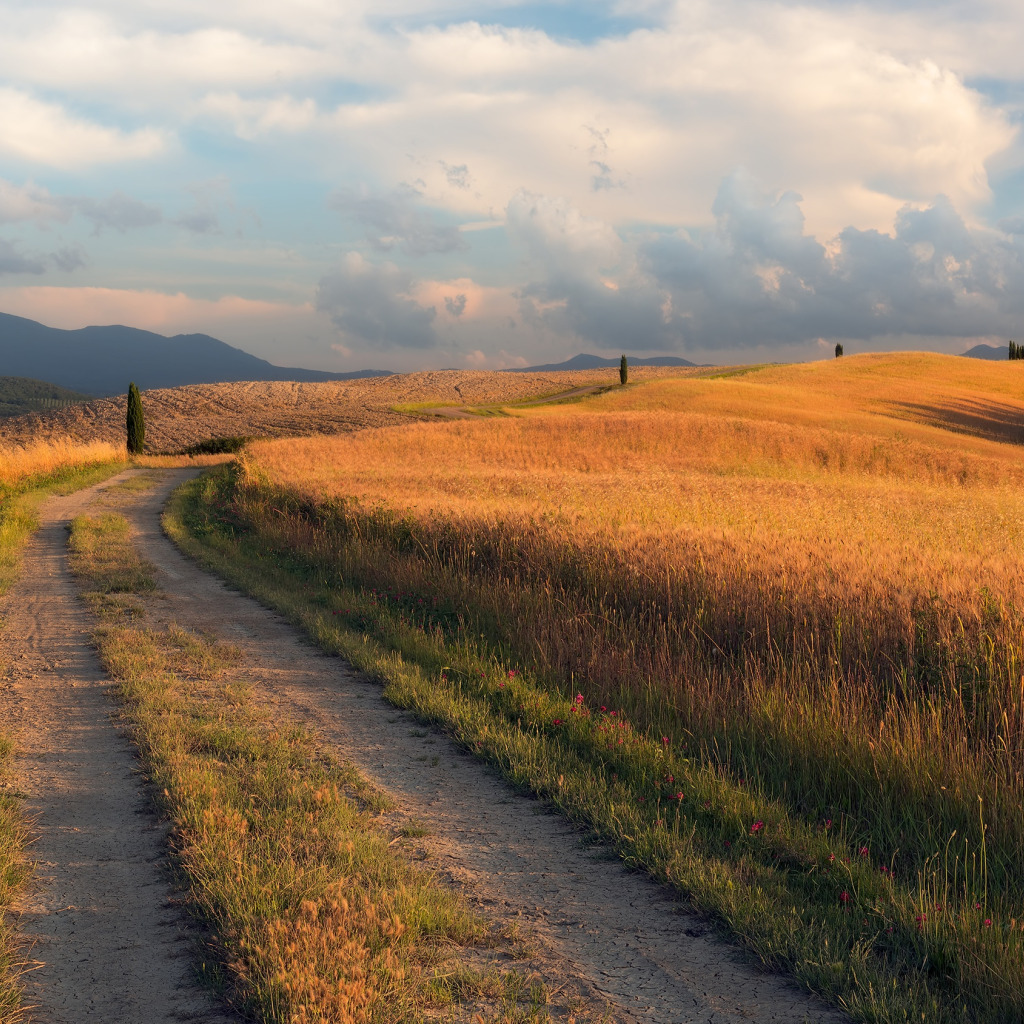 Field roads