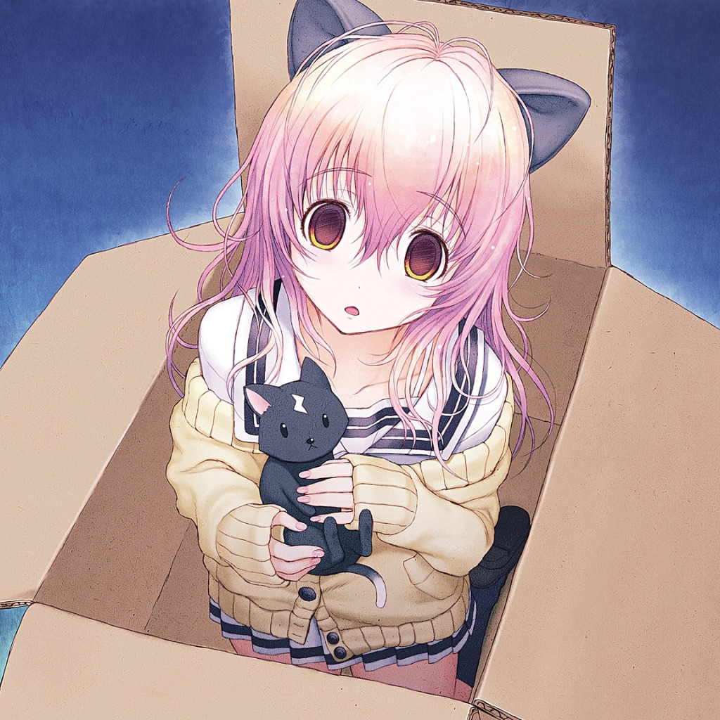 Download wallpaper girl, box, cat, neko, ears, Kimi to Kanojo to Kanojo no  Koi, Mukou Aoi, section art in resolution 1024x1024