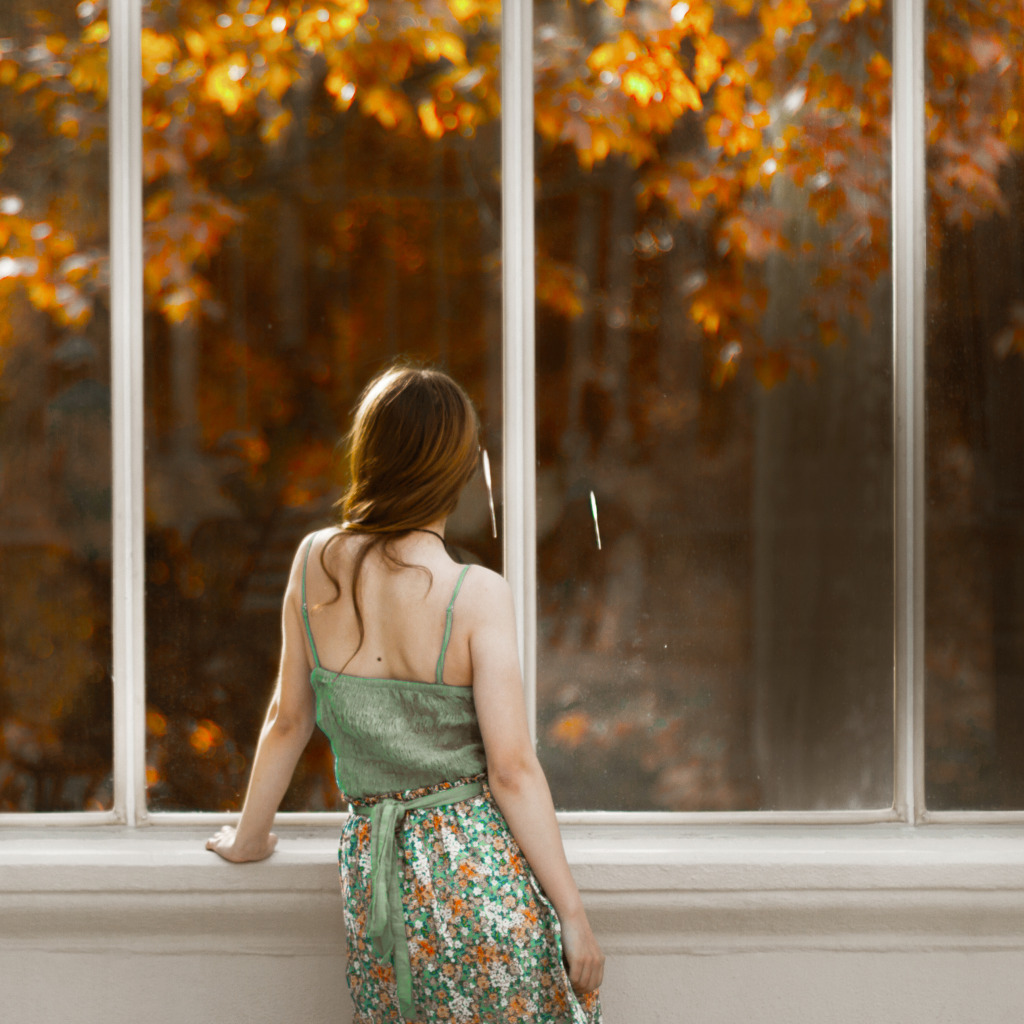 Shades of cars. Мужчина у окна. Плед красный на окне. Лобовое стекло. Женский возле окна.