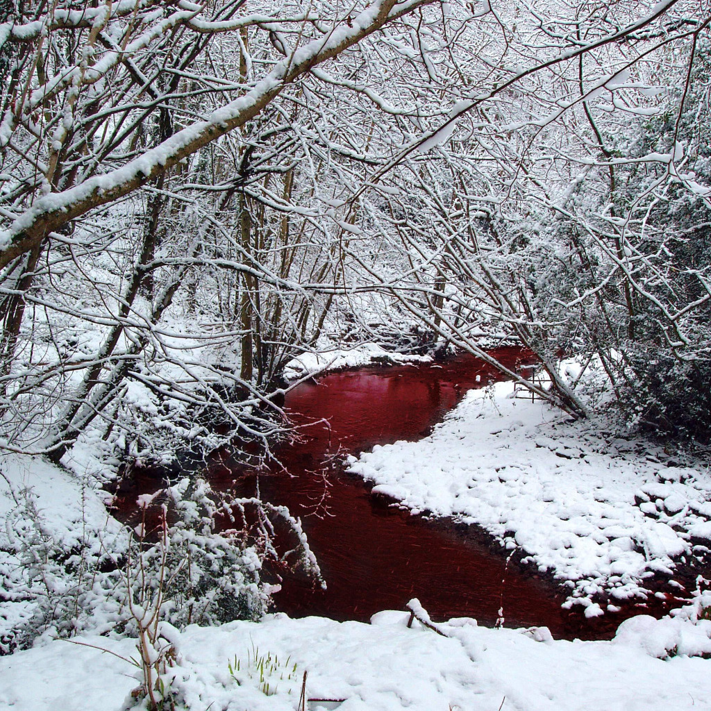 Download wallpaper winter, <b>snow</b>, trees, blood, Forest, river, section lands...