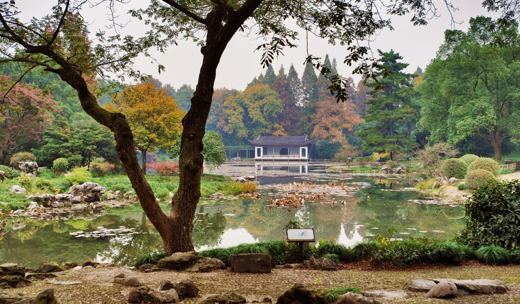 Download wallpaper grass, trees, pond, stones, garden, China, the ...