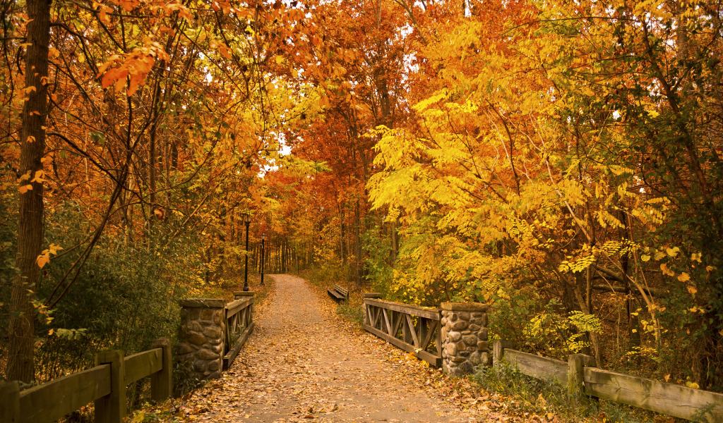 Download wallpaper autumn, leaves, trees, bridge, Park, the way ...