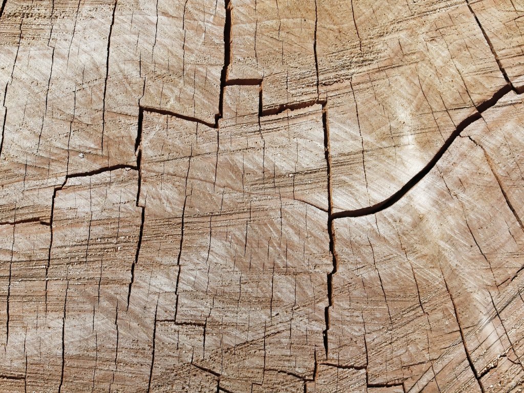 Download wallpaper background, tree, texture, section textures in ...