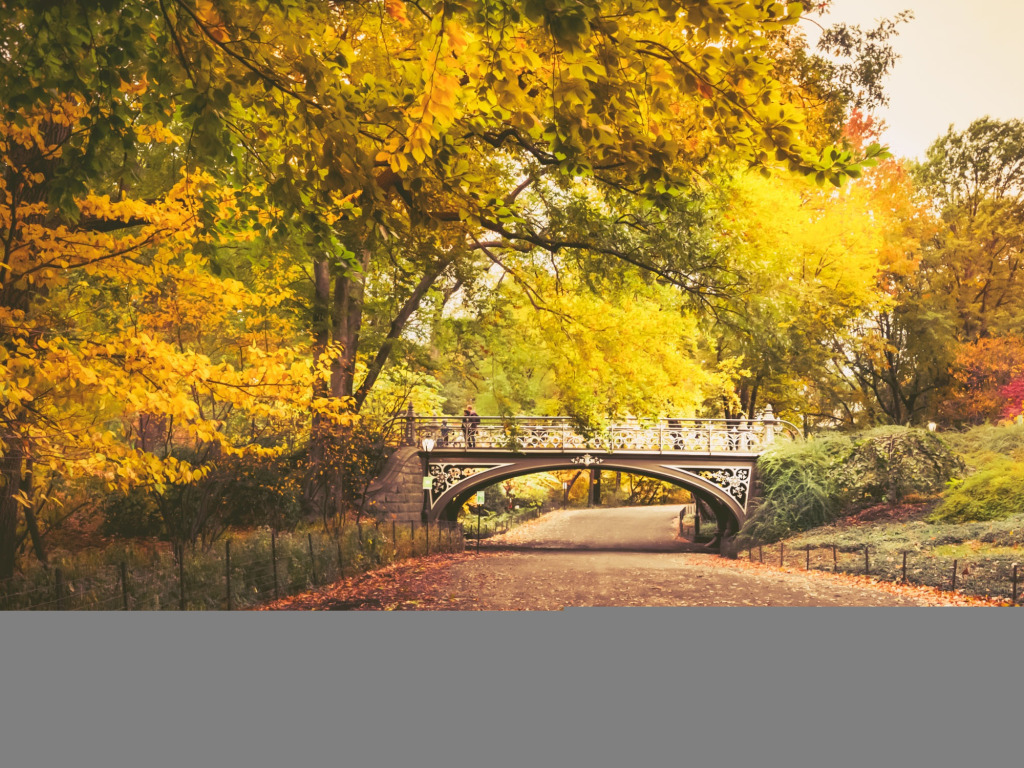 autumn, leaves, trees, bridge, Park, the way, people, the fence