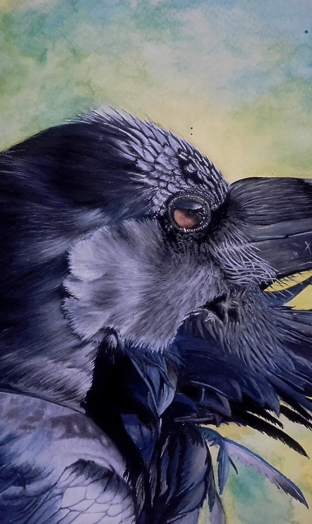 Download wallpaper bird, beak, Raven, section painting in resolution ...