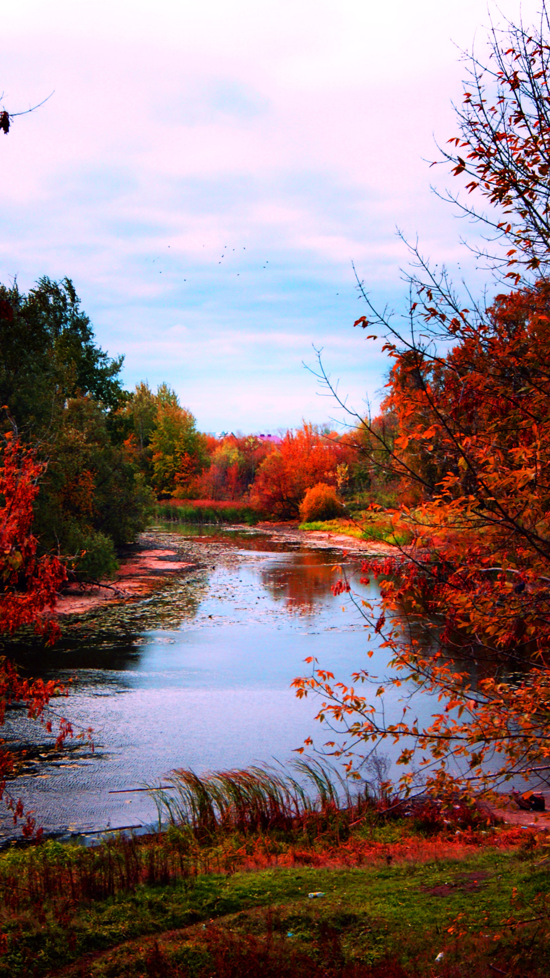 Fall Section Download wallpaper autumn, river, treatment, colors, river, Autumn ...