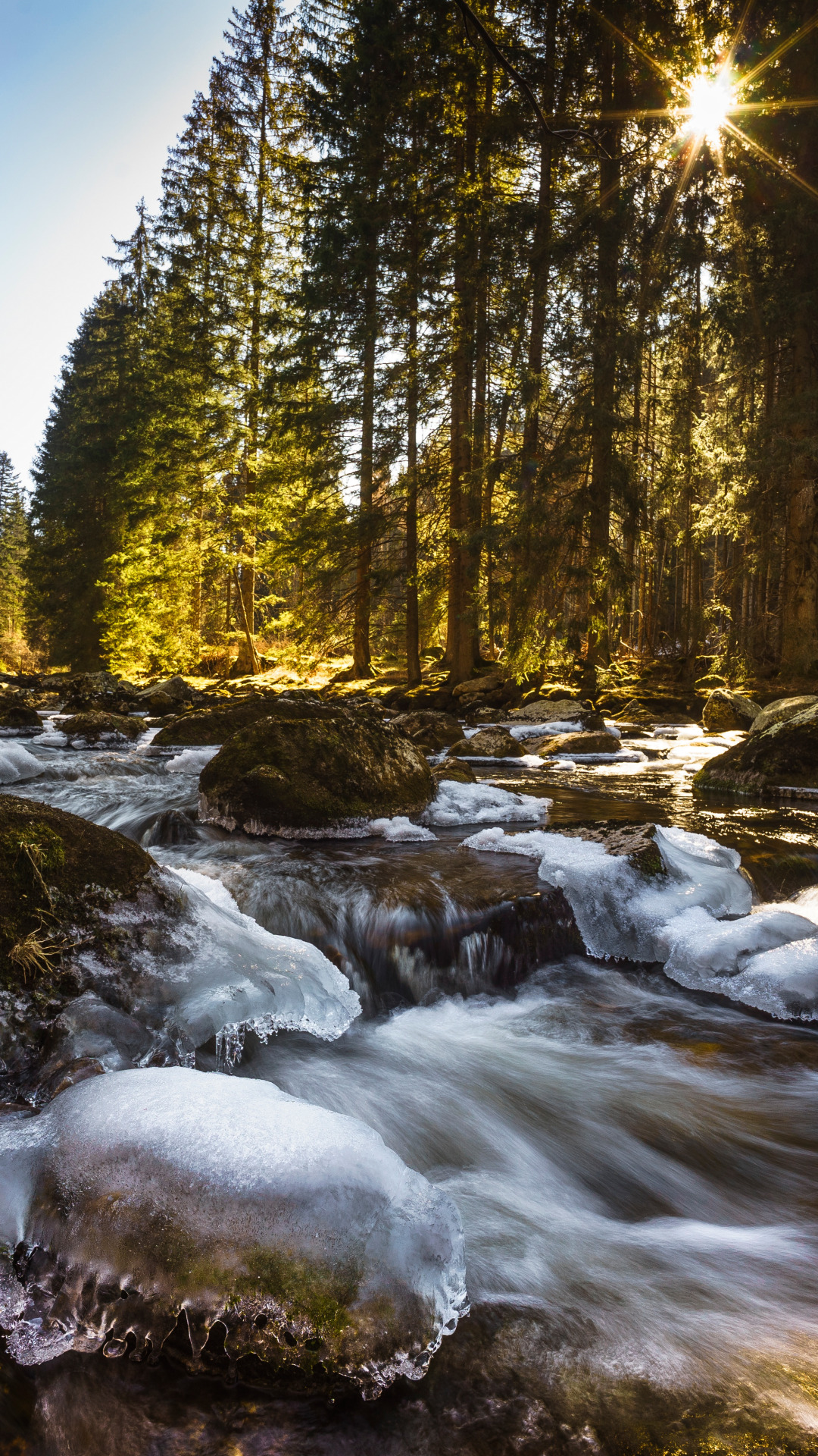 Download wallpaper forest, river, stones, ice, Czech Republic, Sumava ...