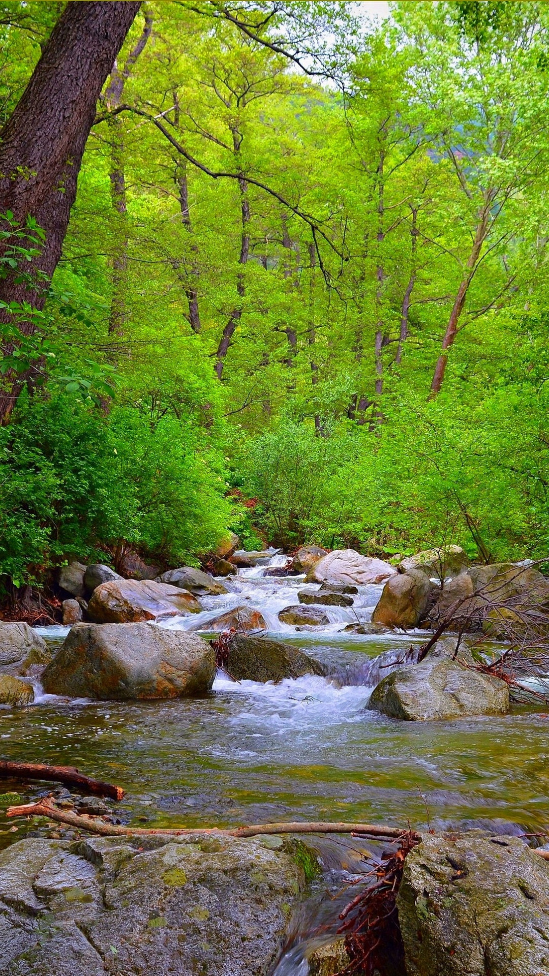 Download wallpaper Stream, Spring, Forest, Stones, River, Spring, River ...