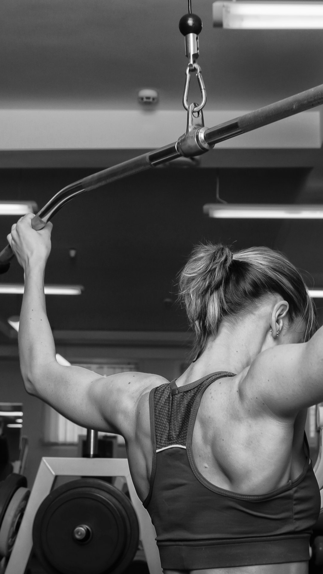 Download wallpaper back, workout, gym, bodybuilder, section sports in ...