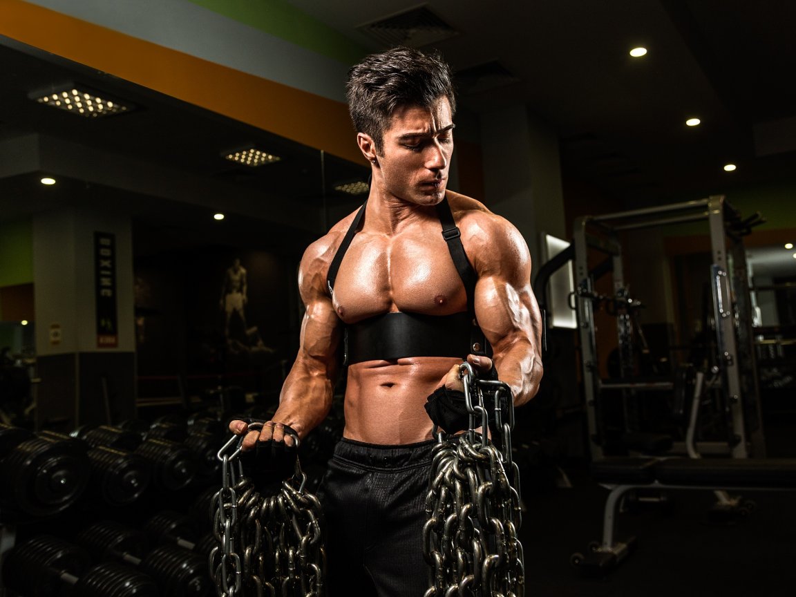 Nectorals Download wallpaper muscles, chains, muscular, arms, Bodybuilder, wide ...
