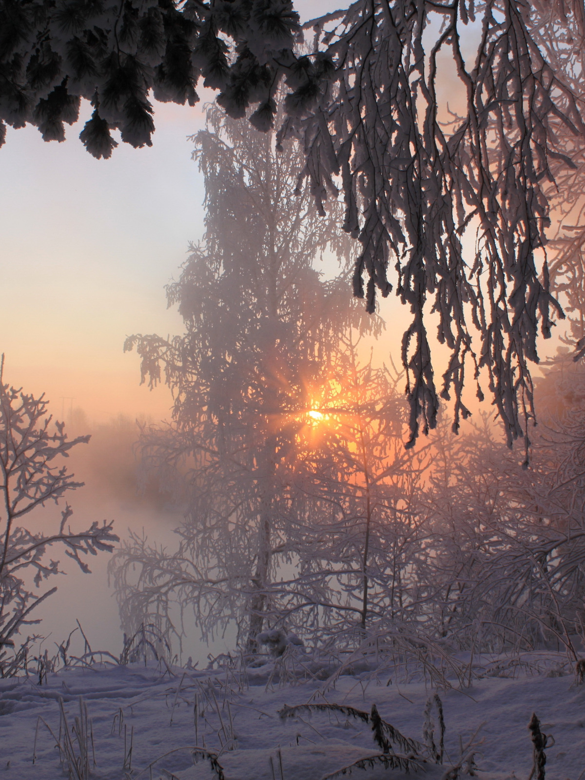 Snowy morning. Снежное утро. Морозное утро в лесу. Морозное утро. Утро зимой.