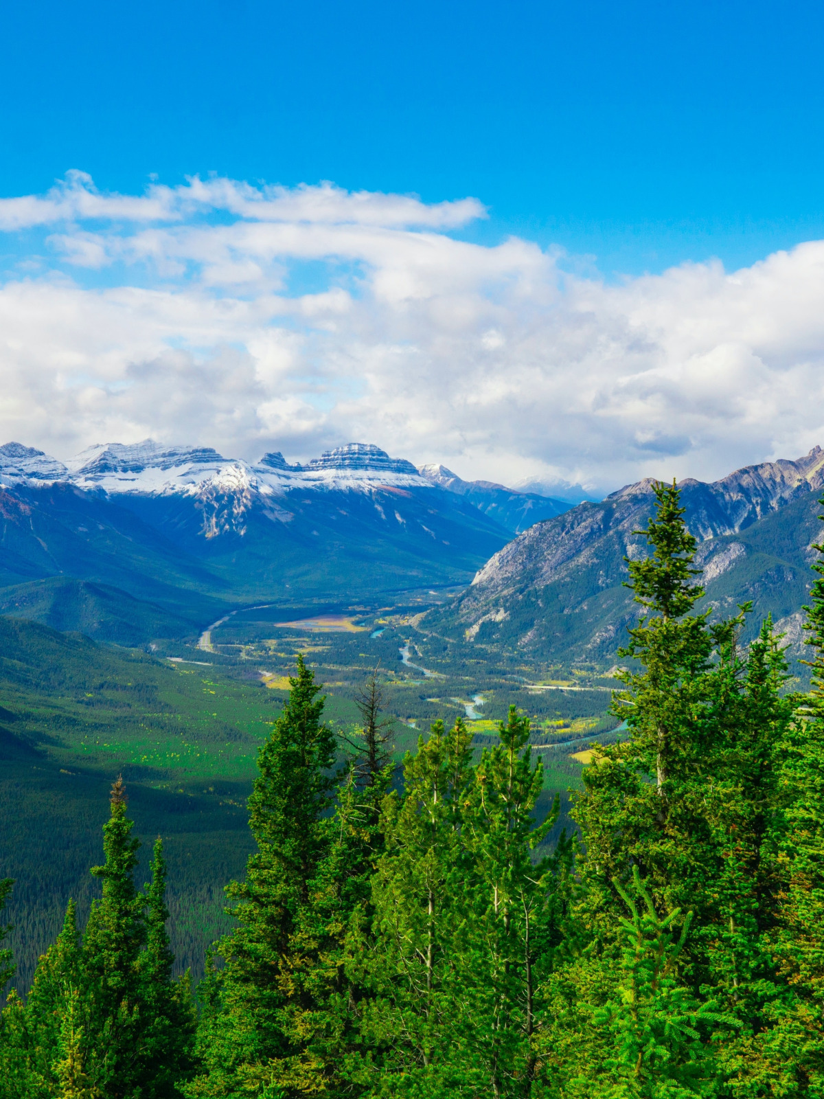 Download wallpaper forest, the sky, clouds, mountains, valley, section ...