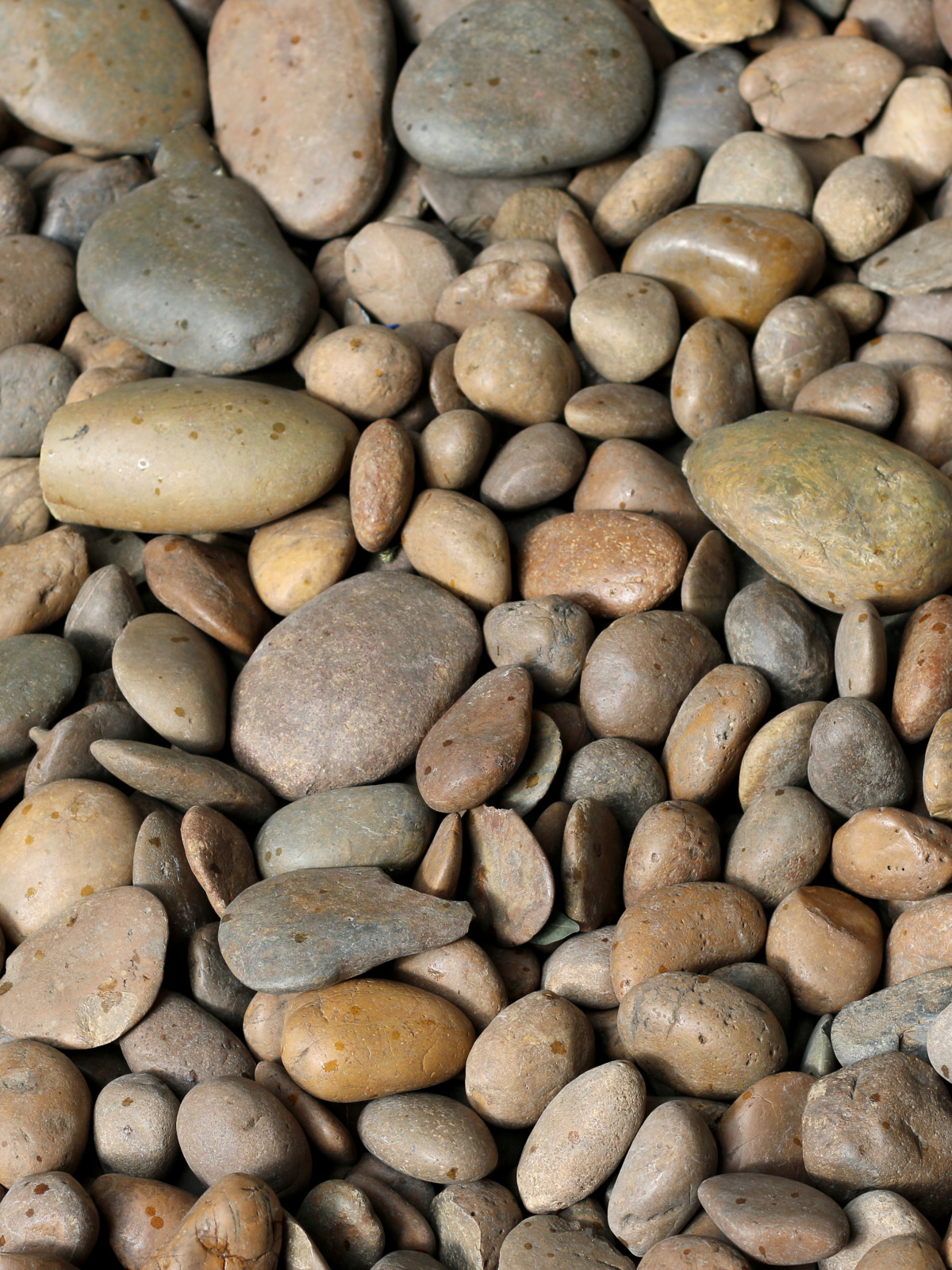 Download wallpaper beach, pebbles, stones, background, white, white
