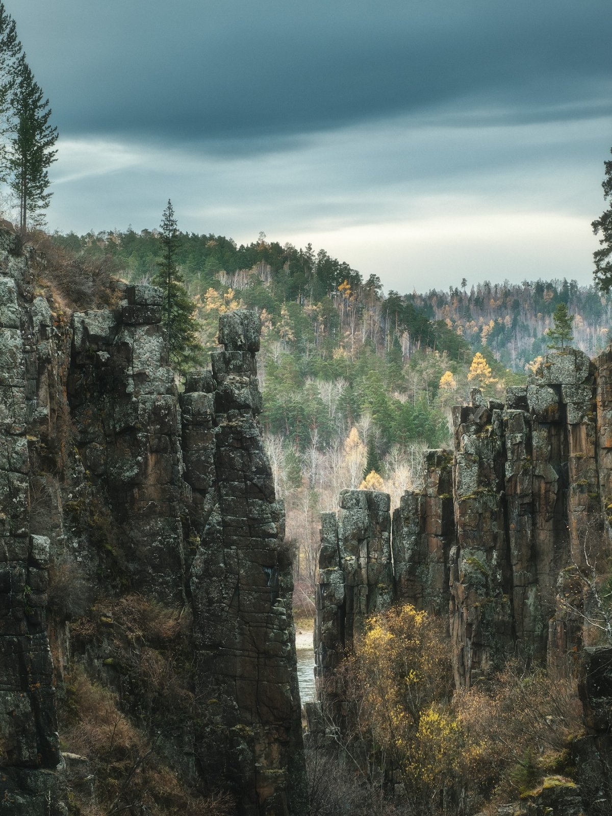 Download wallpaper forest, landscape, nature, river, rocks, canyon ...