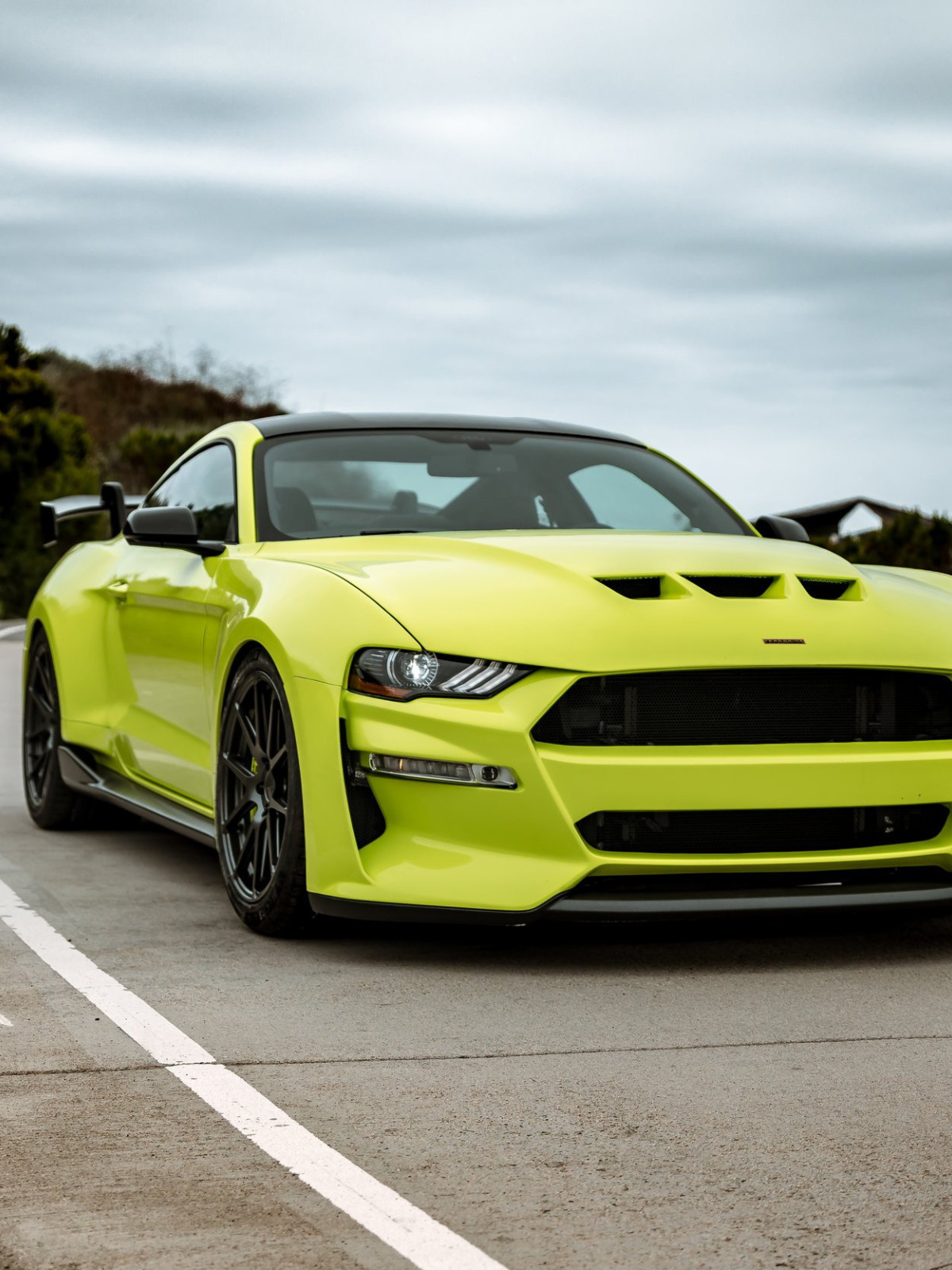 Download wallpaper Mustang, Ford, front view, tuning, 2019, Revenge GT ...