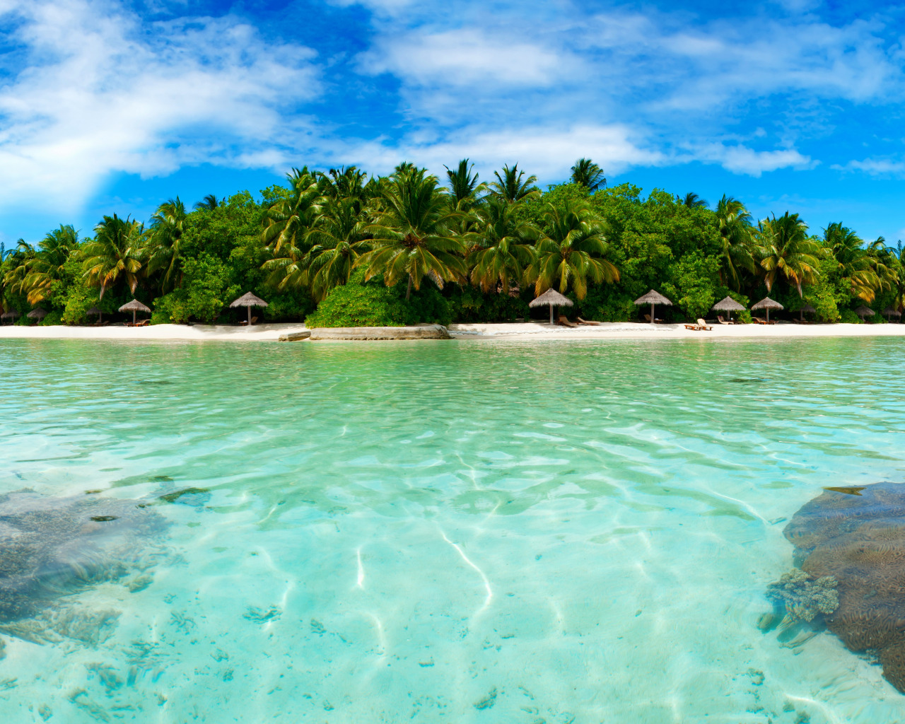 Stay island. Тропик сув. Мальдивы природа.