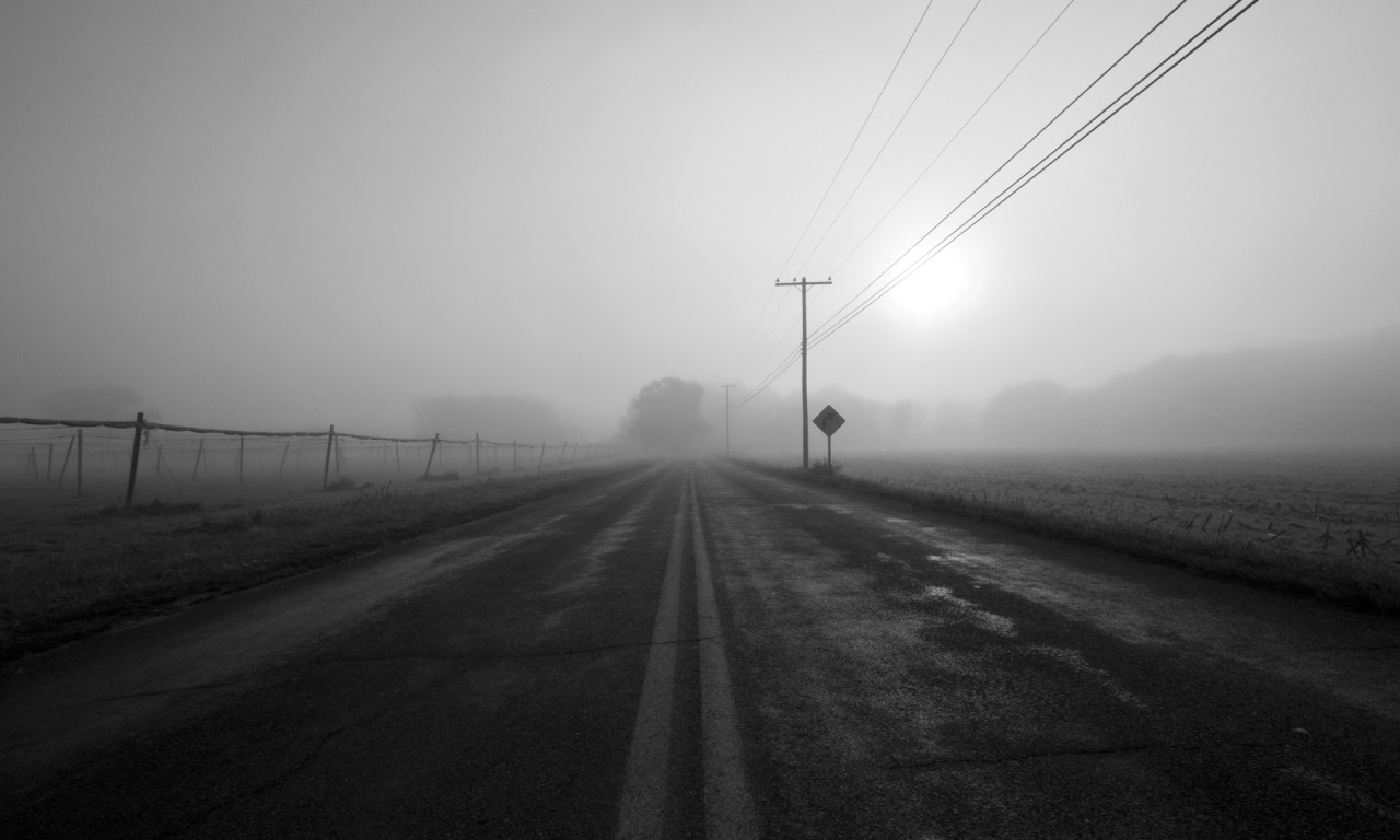 road, fog, grey, sign, posts, wire, haze