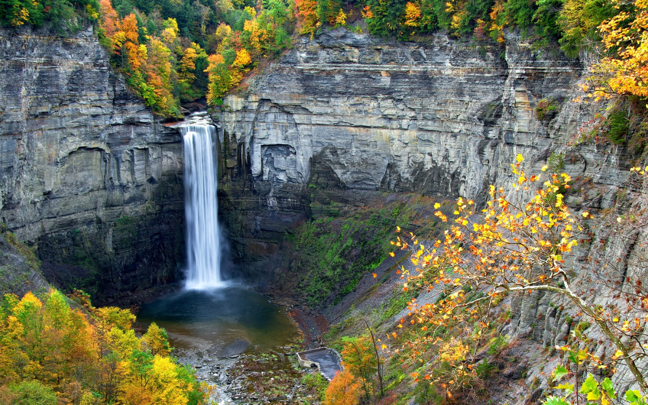 autumn, trees, rocks, waterfall, stream