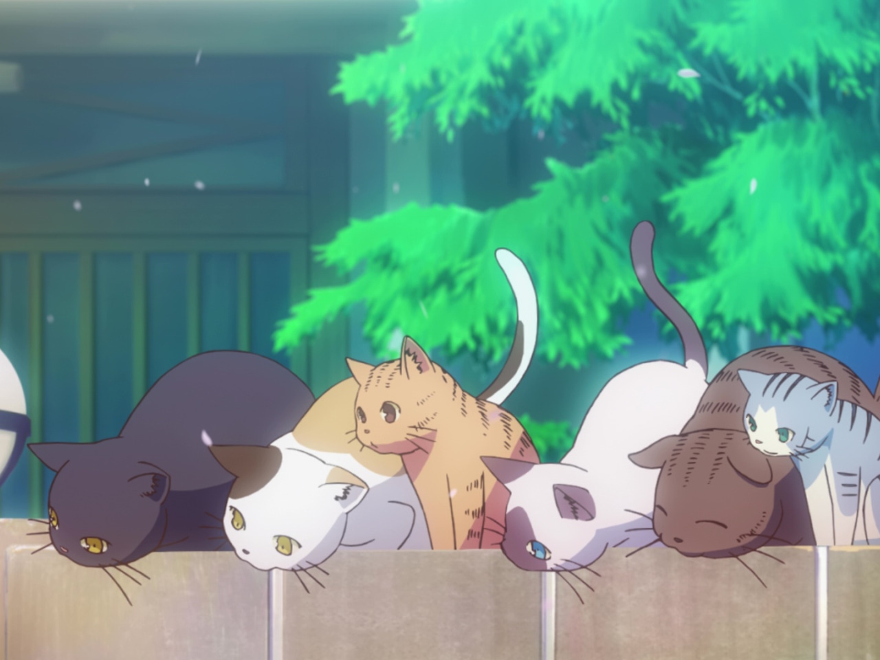 Download wallpaper cats, tree, street, the fence, curiosity, sitting, Sakurasou  no Pet na Kanojo, section other in resolution 1280x960