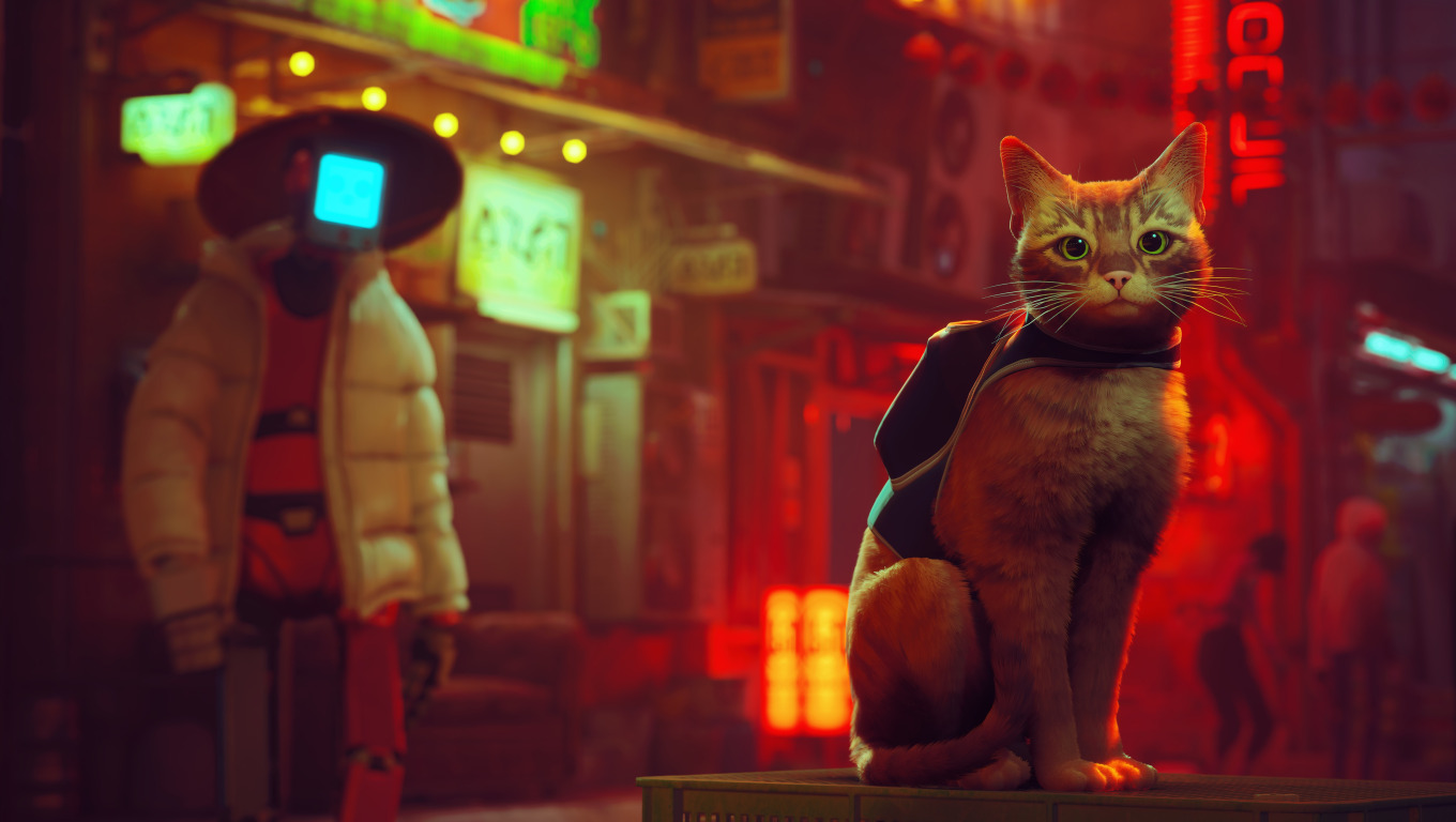 Download wallpaper Look, Cat, Game, Hobo, Stray, BlueTwelve Studio, section  games in resolution 1360x768