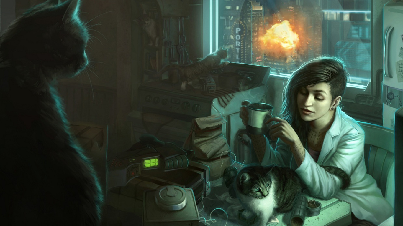 Download wallpaper cats, the explosion, Girl, window, apartment, mess,  section girls in resolution 1366x768