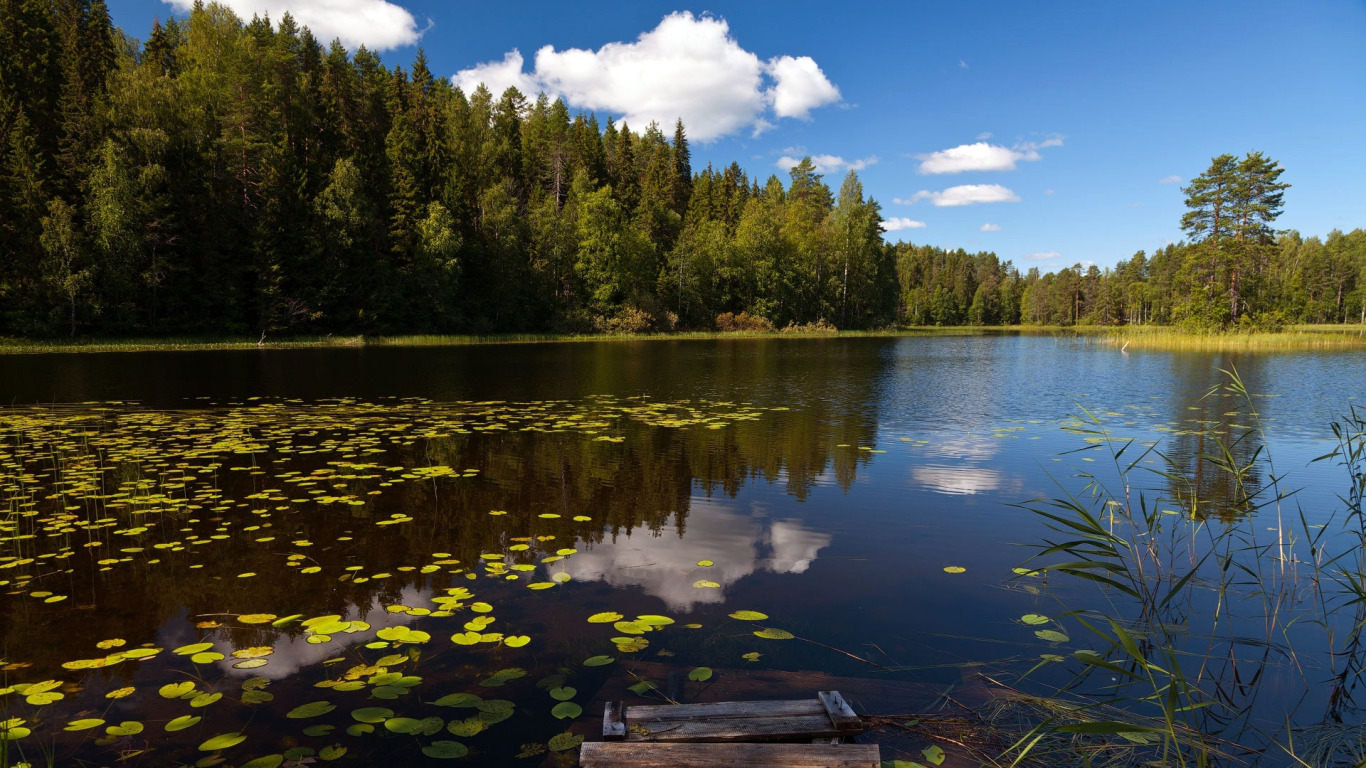 Город Лейк Форест