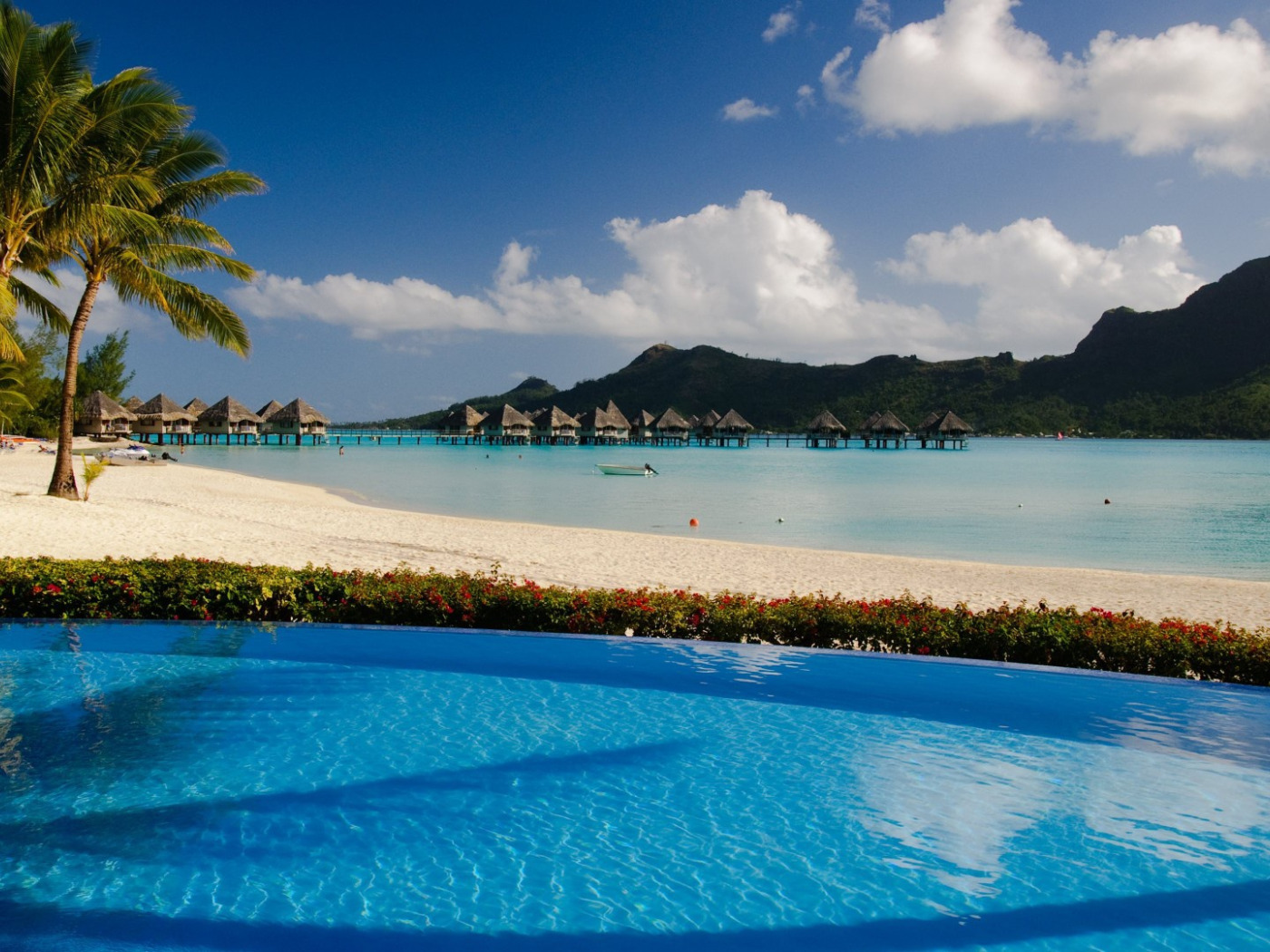 Download wallpaper beach, palm trees, the ocean, pool, resort, Bora ...