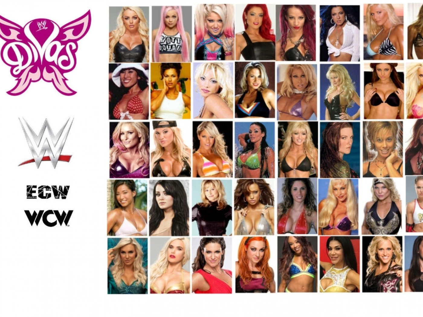 Download wallpaper Wallpaper, WWE, WWE Divas, section girls in resolution  1400x1050