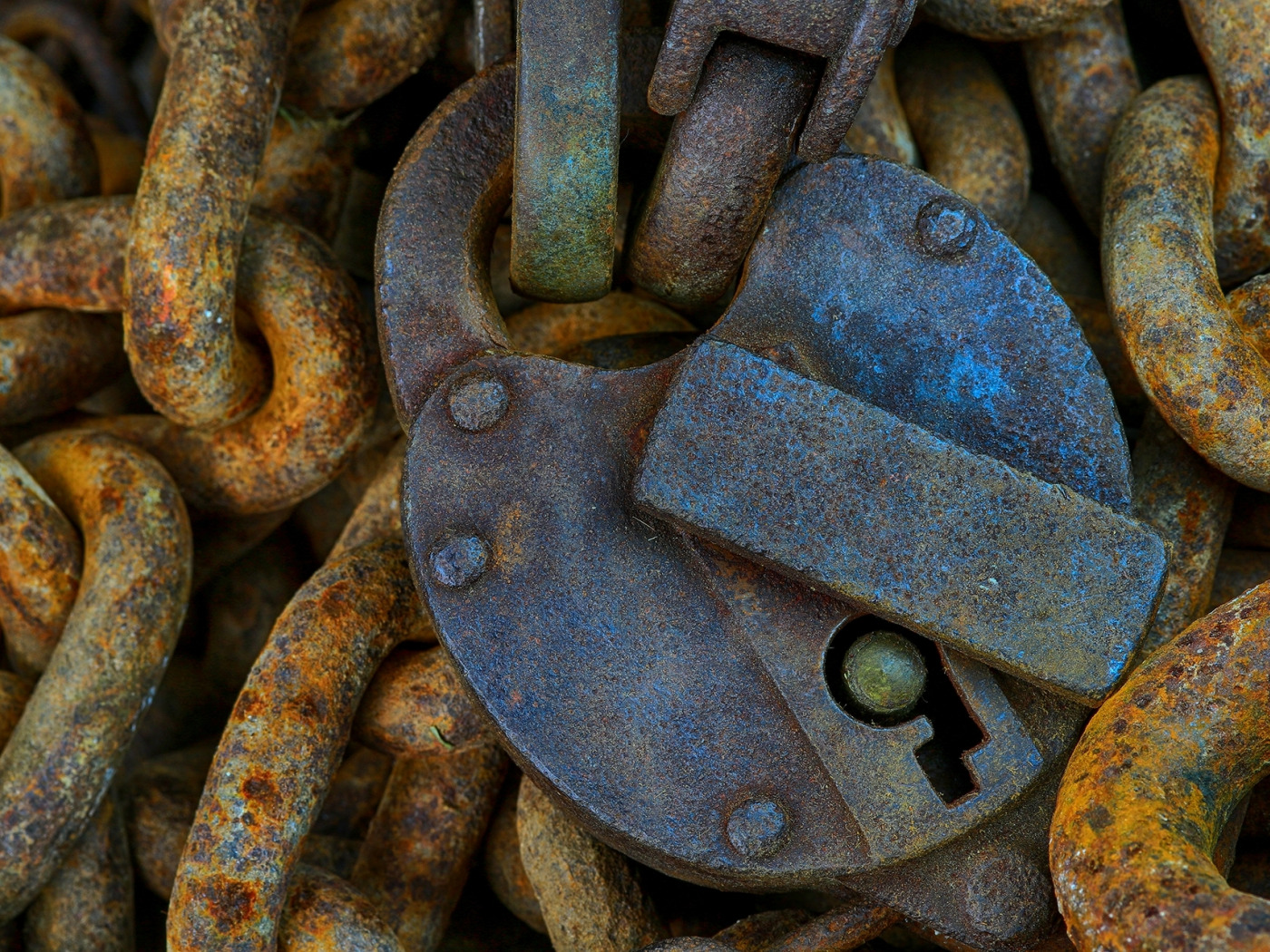 The chains that rust фото 36