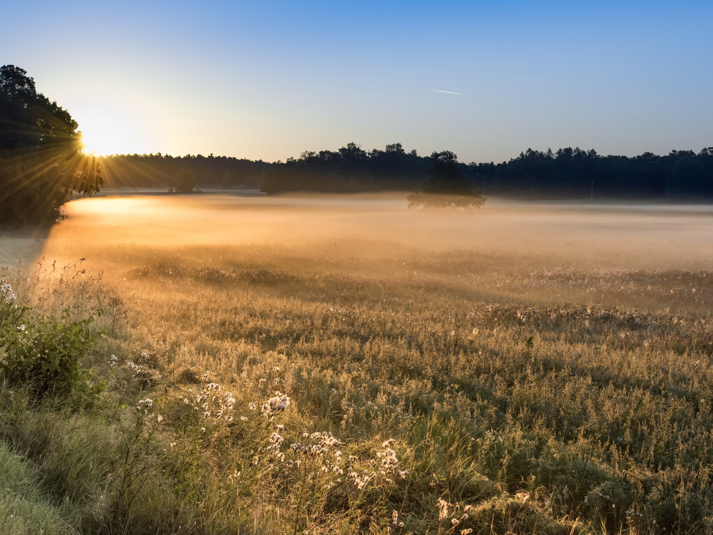 Сыр с белой плесенью. Сыр туманное утро. Сыр туманное утро л. Природа рассвет эстетика. Ранний рассвет в поле.